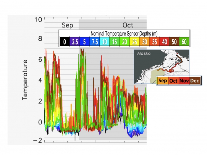 Figure 3.7. UpTempO buoy temperatures from 0–60 m depth (color bar) deployed during the ONR-sponsored September SIZRS flight at 72N, 150W. The drift of the buoy through the fall is shown in the inset from September–December 2018. Surface waters (purple/blue colored lines) are generally cooler than the very warm subsurface values of &gt;6°C, which WARM buoys and satellite IR sensors indicate came from the Chukchi Sea. The buoy drift shows that these warm subsurface conditions are patchy, i.e., with alternating 