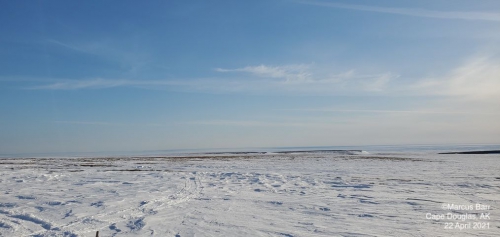 Sea ice and weather conditions at Cape Douglas - view 3.