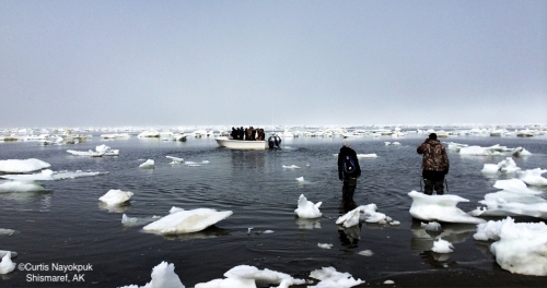 Shishmaref search and rescue.