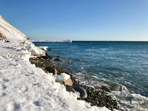 Diomede Ice - view 1