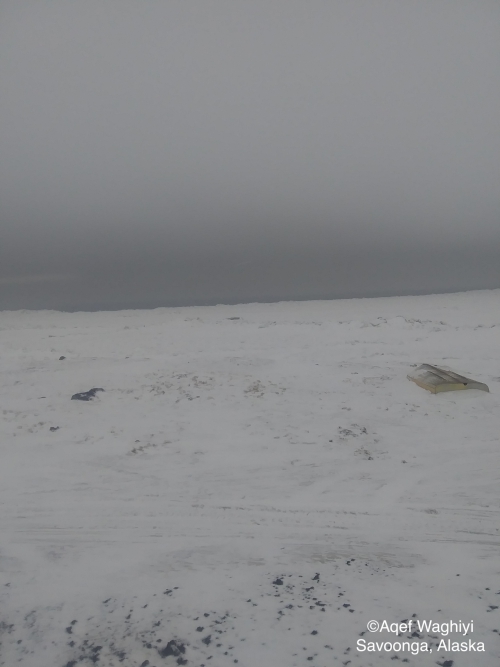 Nearshore ice conditions in Savoonga - view 1.