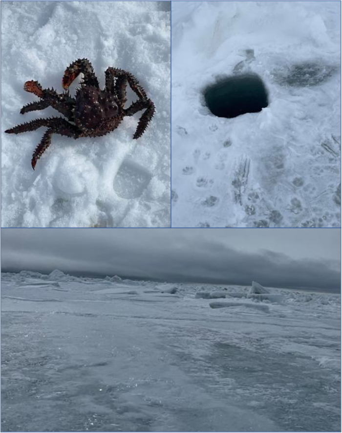 Crabbing in Diomede. Photos courtesy of Odge Ahkinga.