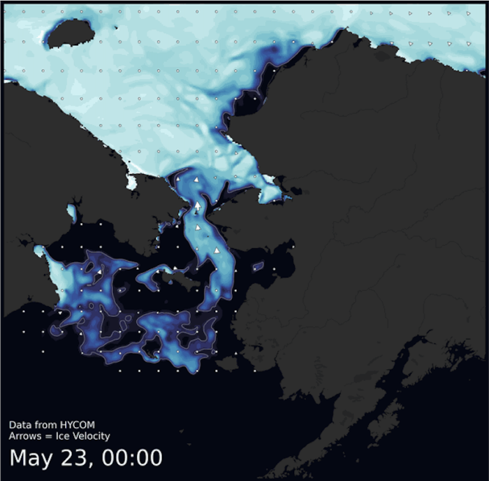 Visit the SIWO Facebook page @seaiceforwalrus to view this animation showing the predicted movement of ice predicted by the HYbrid Coordinate Ocean Model (HYCOM).