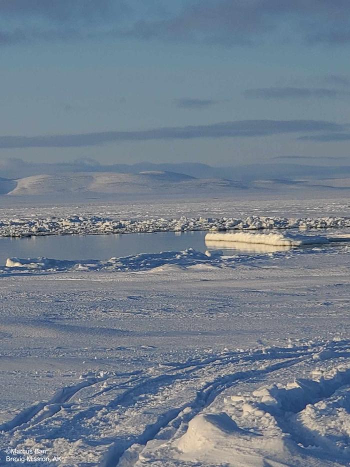 Weather and sea ice conditions between Port Clarence point and the beach west of Brevig about 8 miles - view 6. Photo courtesy of Marcus Barr.