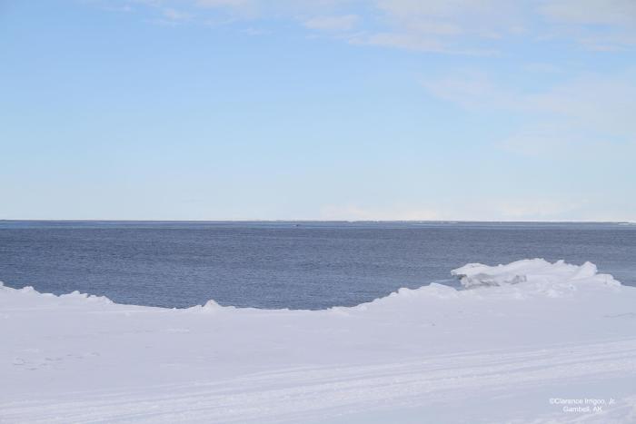 Going out to the ice, some boats getting games on 26 March. Courtesy of Clarence Irrigoo, Jr.